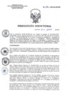 Vista preliminar de documento RD 106-2023-SA-DG-INR