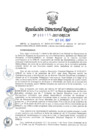Vista preliminar de documento RDR-8111-2017-DRELMbsRoU