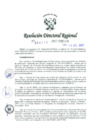 Vista preliminar de documento RDR-8217-2017-DRELMHRWFo
