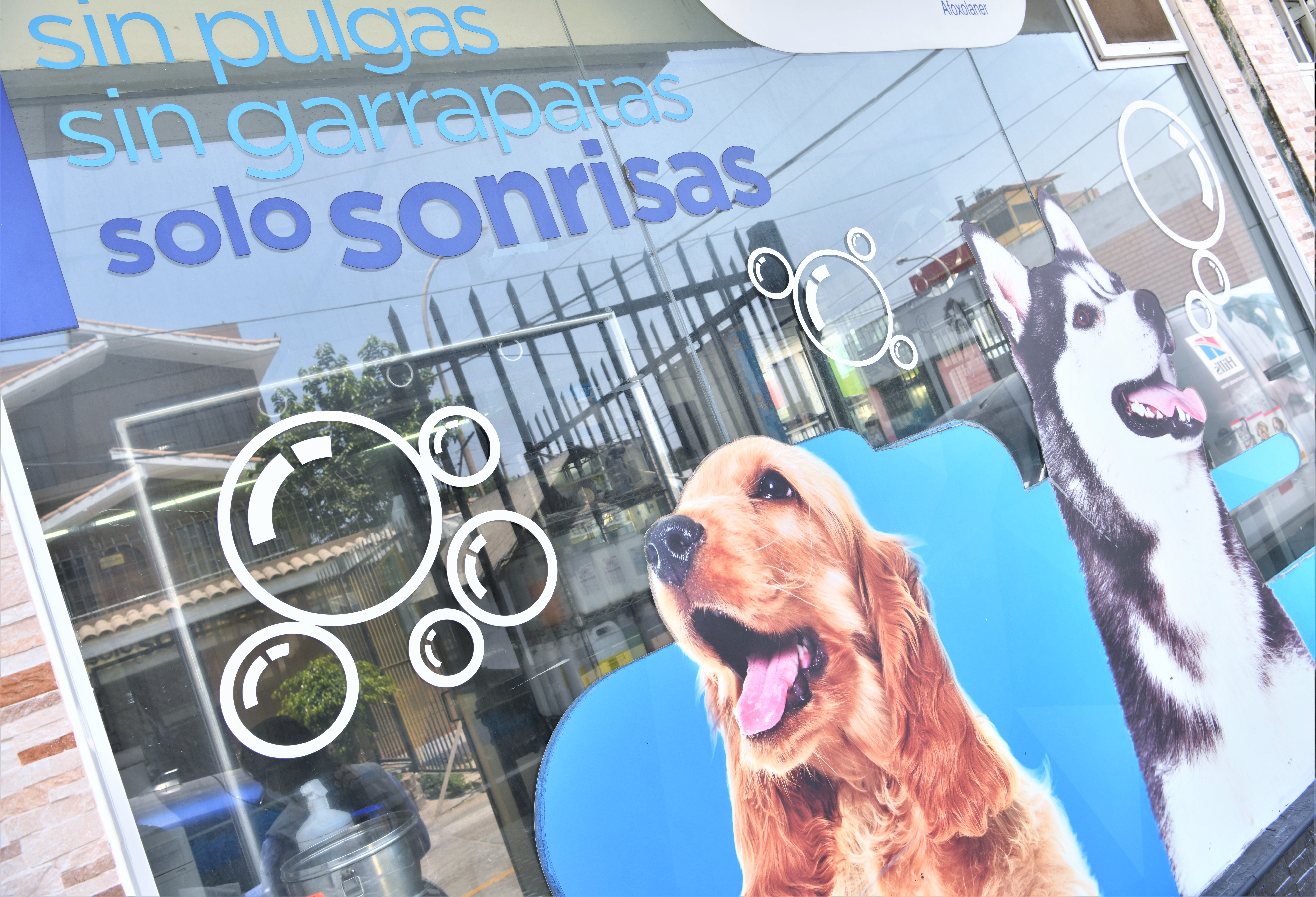Sepa cómo elegir servicios veterinarios para no poner en riesgo 
a su mascota
