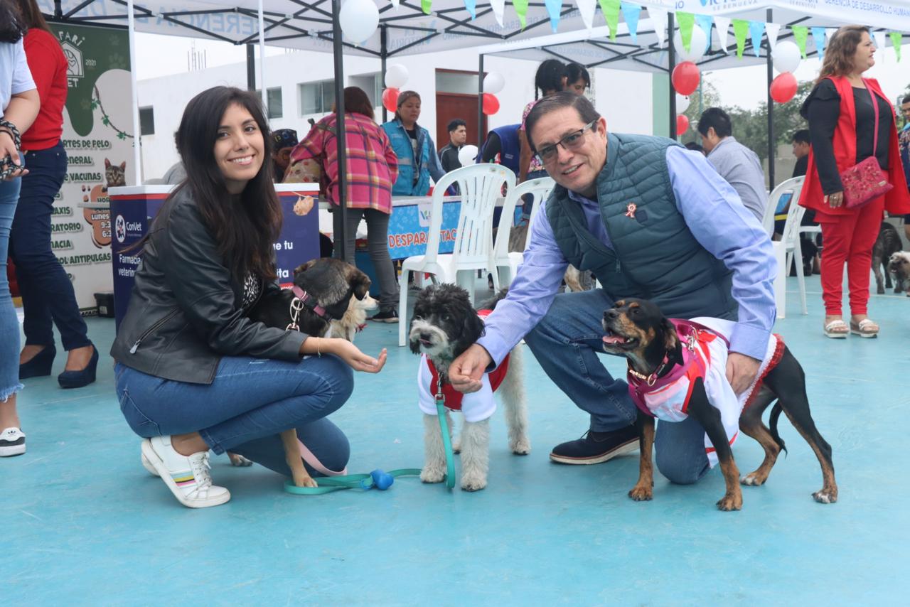 Foto perros