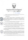 Vista preliminar de documento RDR-4623-2016-DRELMYd0S1