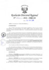 Vista preliminar de documento RDR-4651-2016-DRELMxQJs8
