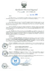 Vista preliminar de documento RDR-8806-2015-DRELMkiGM2