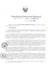 Vista preliminar de documento RDR-9213-2015-DRELMr7FgY
