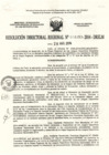 Vista preliminar de documento RDR-04353-2014-DRELM9jig4
