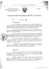 Vista preliminar de documento RDR-04965-2014-DRELMKt6v1