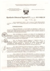 Vista preliminar de documento RDR-07315-2013-DRELMblo5J