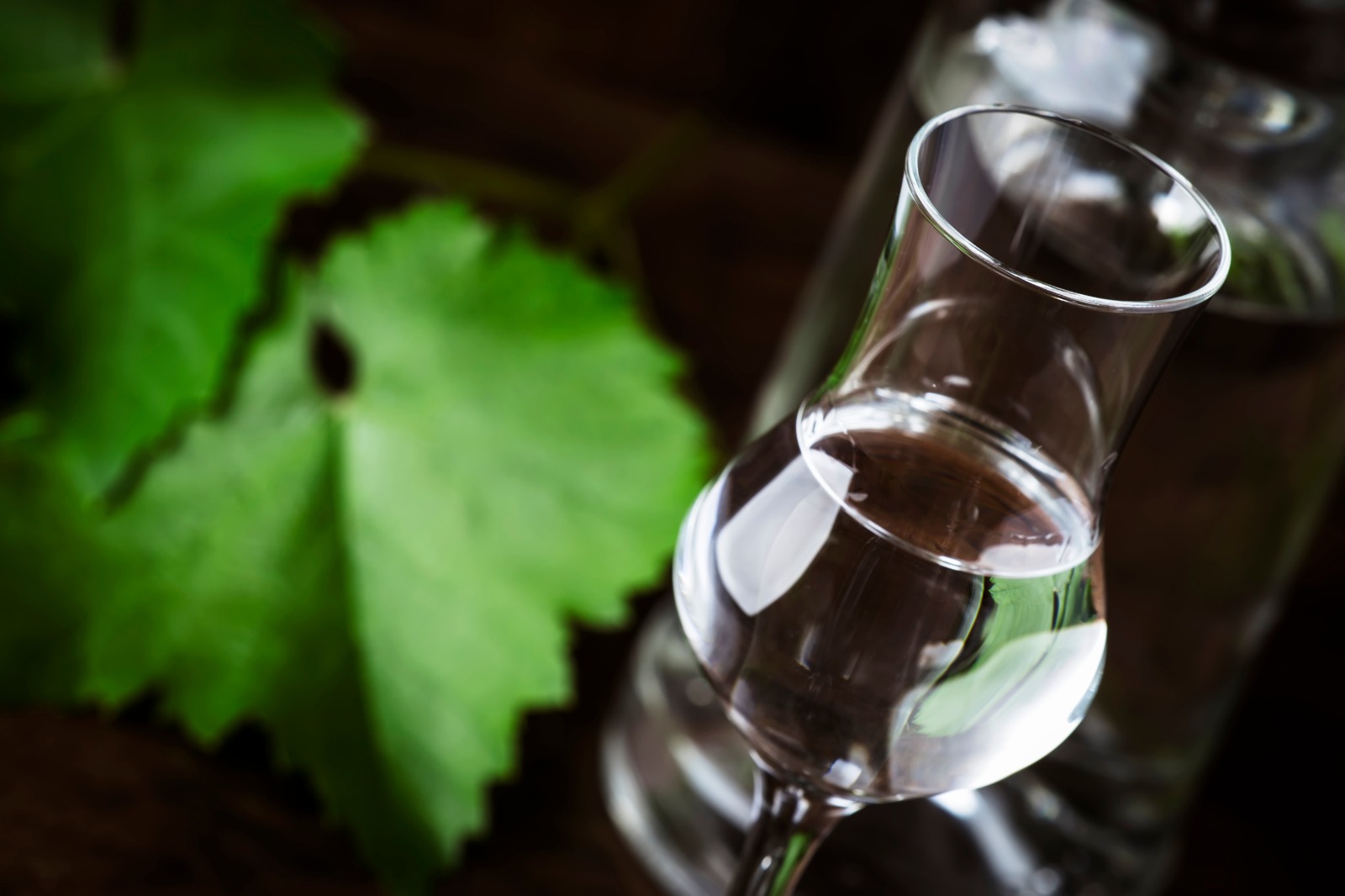 Día Nacional del Pisco: Indecopi brinda recomendaciones para comprar Pisco autorizado y evitar bebidas adulteradas