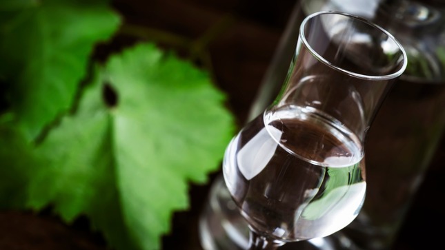 Día Nacional del Pisco: Indecopi brinda recomendaciones para comprar Pisco autorizado y evitar bebidas adulteradas