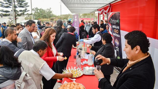 Turistas nacionales y extranjeros conmemoran el Día Nacional del Pisco