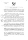 Vista preliminar de documento 0343-2023-GRA-GRI