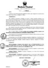 Vista preliminar de documento RESOLUCION DIRECTORAL N° 342 - 2023