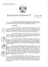 Vista preliminar de documento Resolución Jefatural Nº 207-2023-INEI