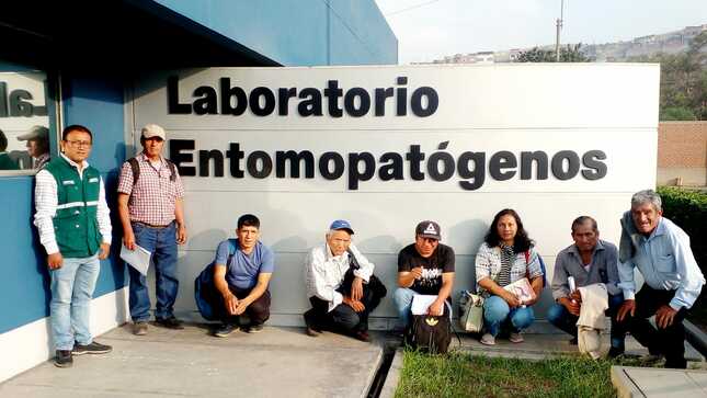 Delegación de Agricultores de songos y Ayas visitó los laboratorios de SENASA Ubicado en Ate.