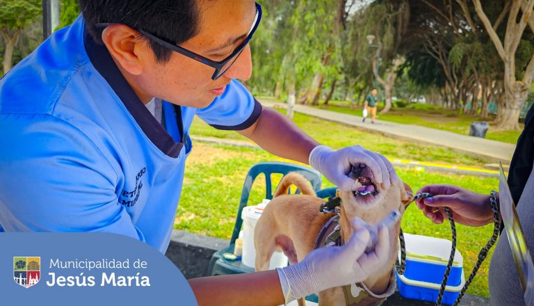🔹 Si deseas separar cita para tu engreído 🐶😺 en la veterinaria municipal, escríbenos a veterinariajm@munijesusmaria.gob.pe
