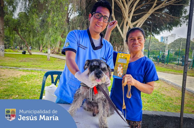 🔹 Si deseas separar cita para tu engreído 🐶😺 en la veterinaria municipal, escríbenos a veterinariajm@munijesusmaria.gob.pe