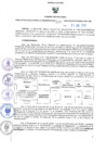 Vista preliminar de documento RES-223-2023-ORA