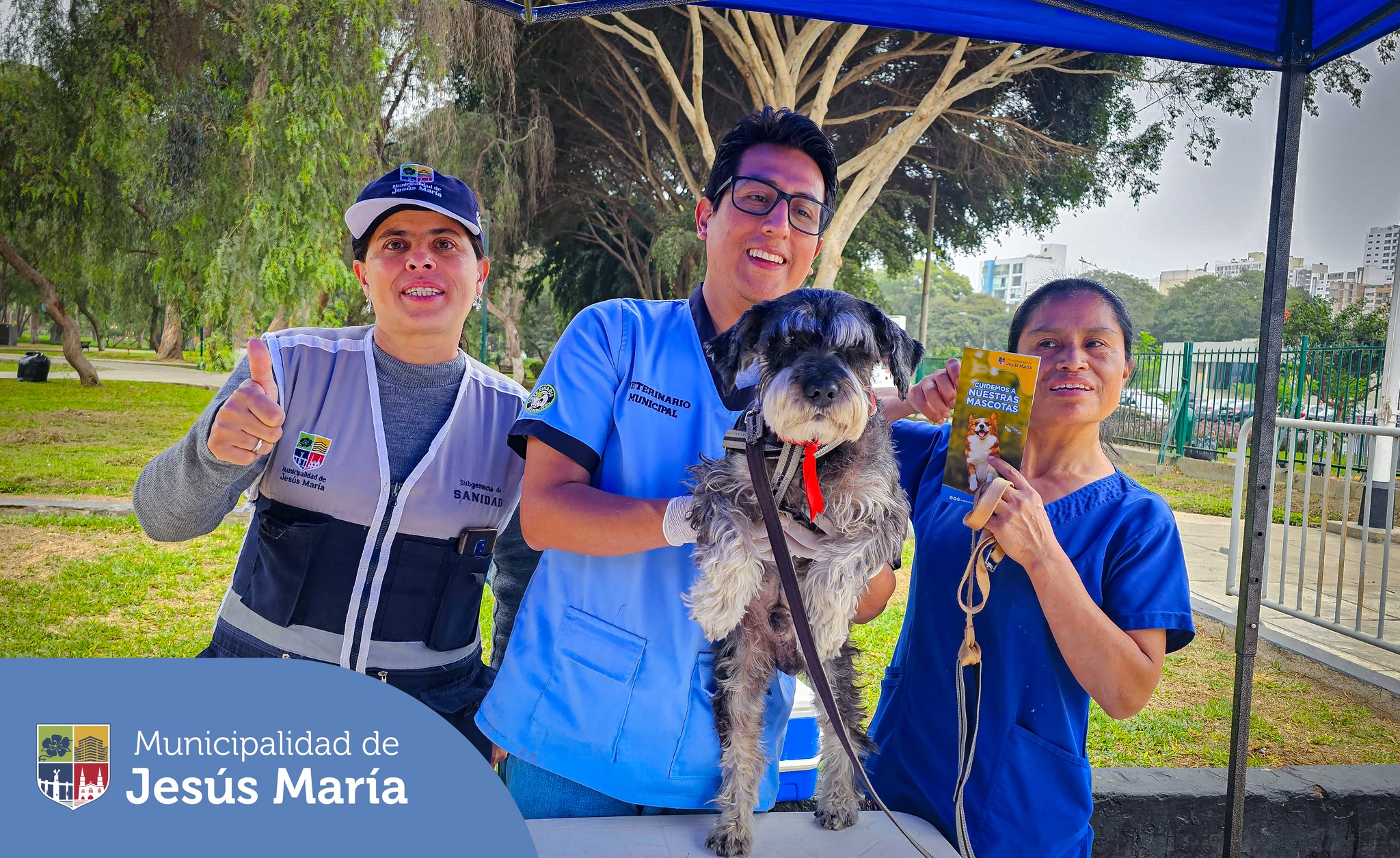 🔹 Permanezcan atentos a nuestras redes sociales y página web, tenemos campañas gratuitas cada 15 días aproximadamente.
🔹 Si deseas separar cita para tu engreído 🐶😺 en la veterinaria municipal, escríbenos a veterinariajm@munijesusmaria.gob.pe
Porque #JesúsMaríaSomosTodos 🙌🏼
