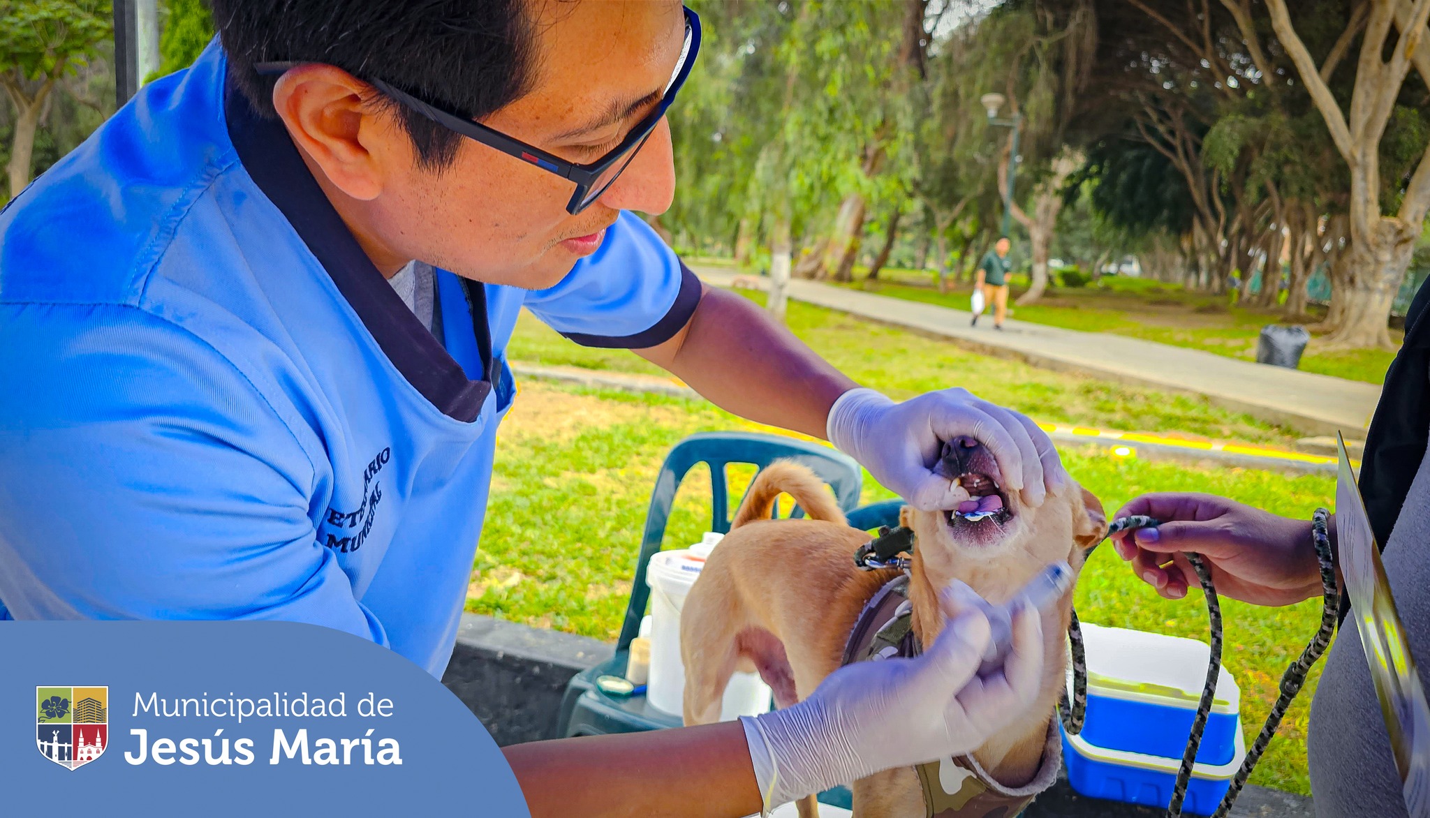 🔹 Permanezcan atentos a nuestras redes sociales y página web, tenemos campañas gratuitas cada 15 días aproximadamente.
🔹 Si deseas separar cita para tu engreído 🐶😺 en la veterinaria municipal, escríbenos a veterinariajm@munijesusmaria.gob.pe
Porque #JesúsMaríaSomosTodos 🙌🏼