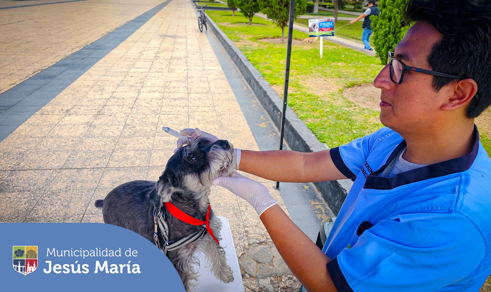 🔹 Permanezcan atentos a nuestras redes sociales y página web, tenemos campañas gratuitas cada 15 días aproximadamente.
🔹 Si deseas separar cita para tu engreído 🐶😺 en la veterinaria municipal, escríbenos a veterinariajm@munijesusmaria.gob.pe
Porque #JesúsMaríaSomosTodos 🙌🏼