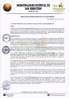 Vista preliminar de documento RGM-051-2023-MDSS