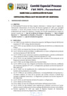 Vista preliminar de documento Bases del Proceso de Selección CAS 003-2023-MPP