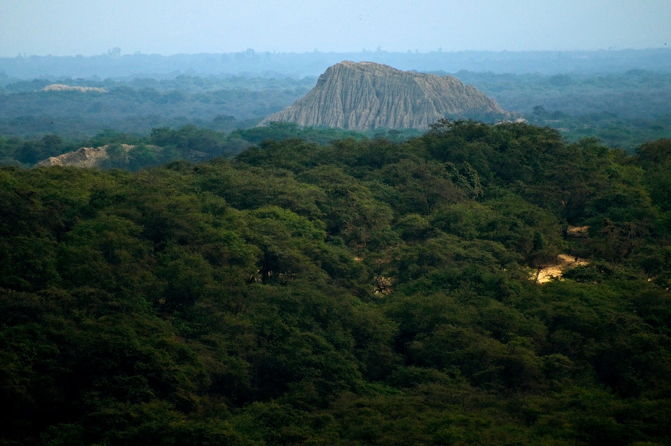 SH Bosque de Pómac