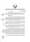 Vista preliminar de documento RDE N°00132-2020-ARCC-DE
