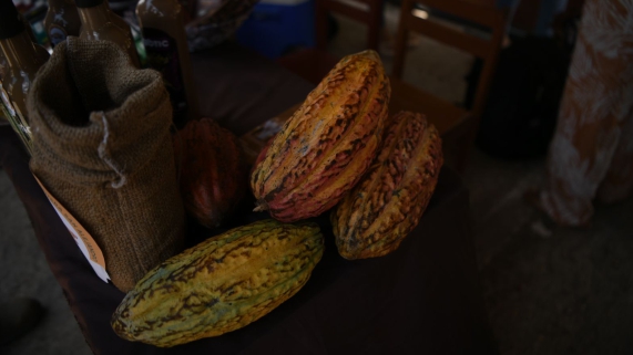 CACAO