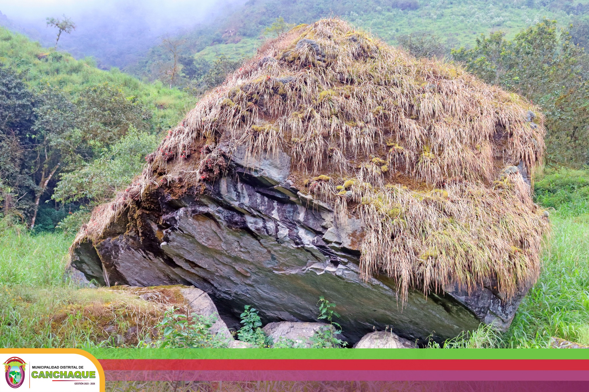 Cueva de los leones