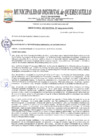 Vista preliminar de documento ORDE04-2020