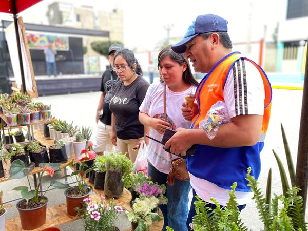 Imagen1
