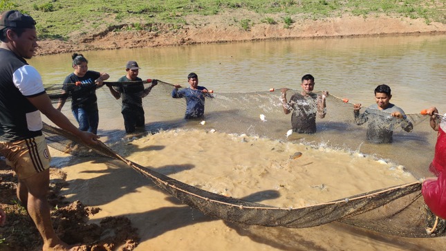 Foto de extracción peces Comunidad Nativa de Belgica