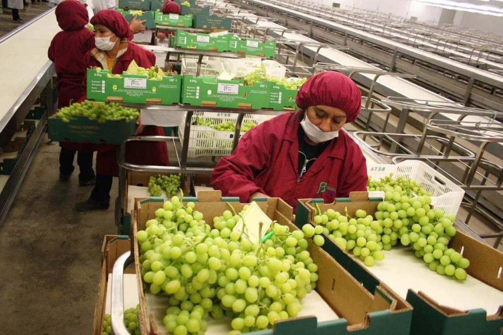 Aumenta el empleo