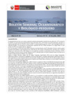 Vista preliminar de documento BS OBP N°29 2023