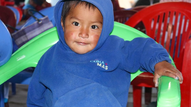 Linea de Base de la prevalencia de la desnutrición crónica y anemia en niños menores de 05 años Huamanguilla