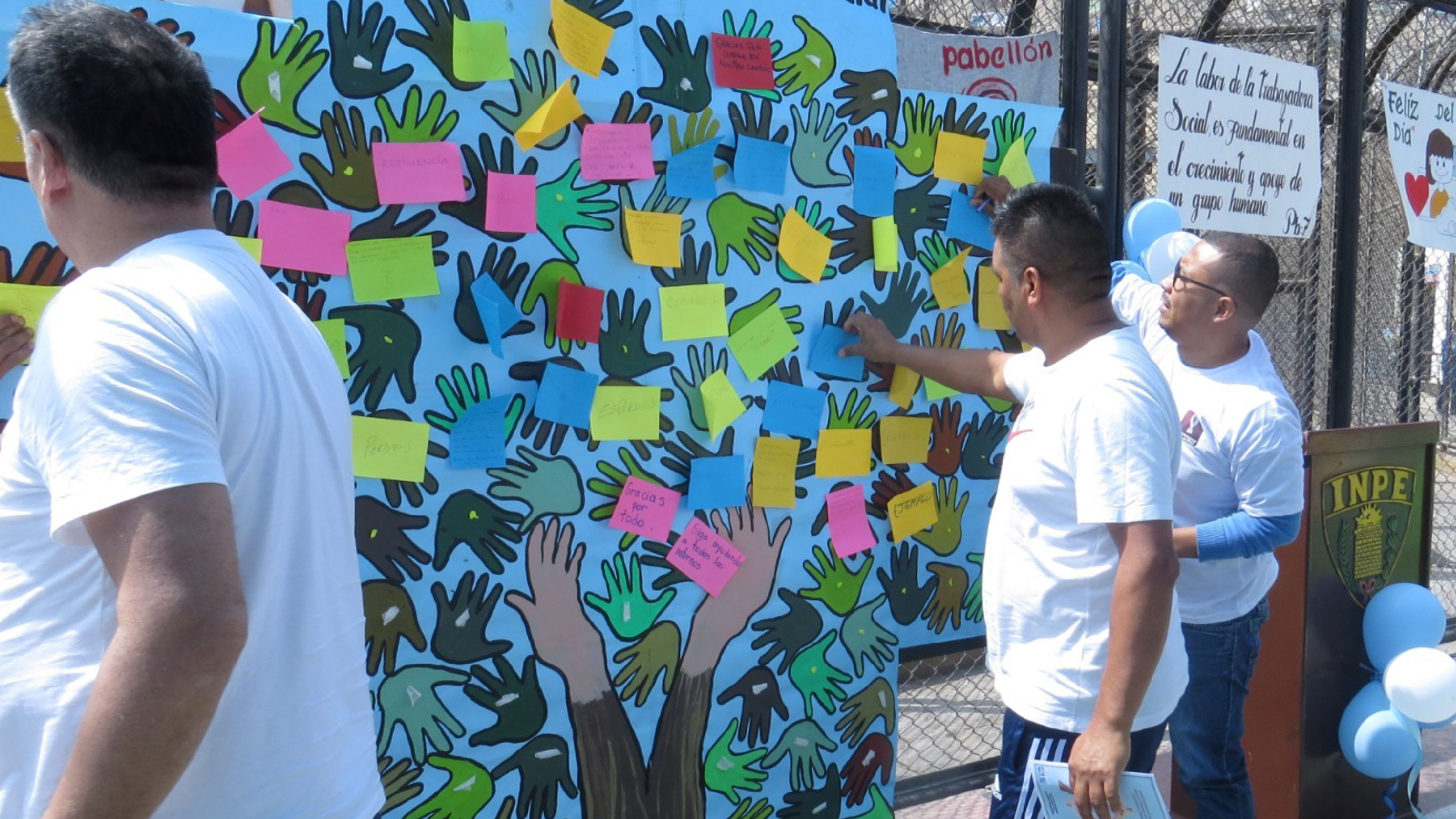 FOTO - copia-02