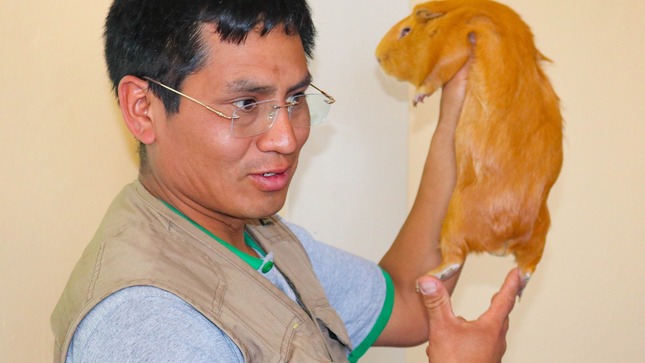 Primer Encuentro de Productores de Cuy y Capacitación en Crianza de Cuy 