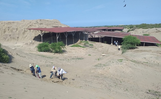 Trabajos de emergencia para proteger las zonas arqueológicas de las lluvias -