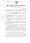 Vista preliminar de documento 004-2021