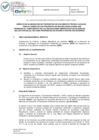 Vista preliminar de documento TDR_1928 DPEF