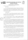 Vista preliminar de documento Acuerdo Regional Nº 028-2023