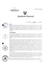 Vista preliminar de documento R.D. 1017-2023