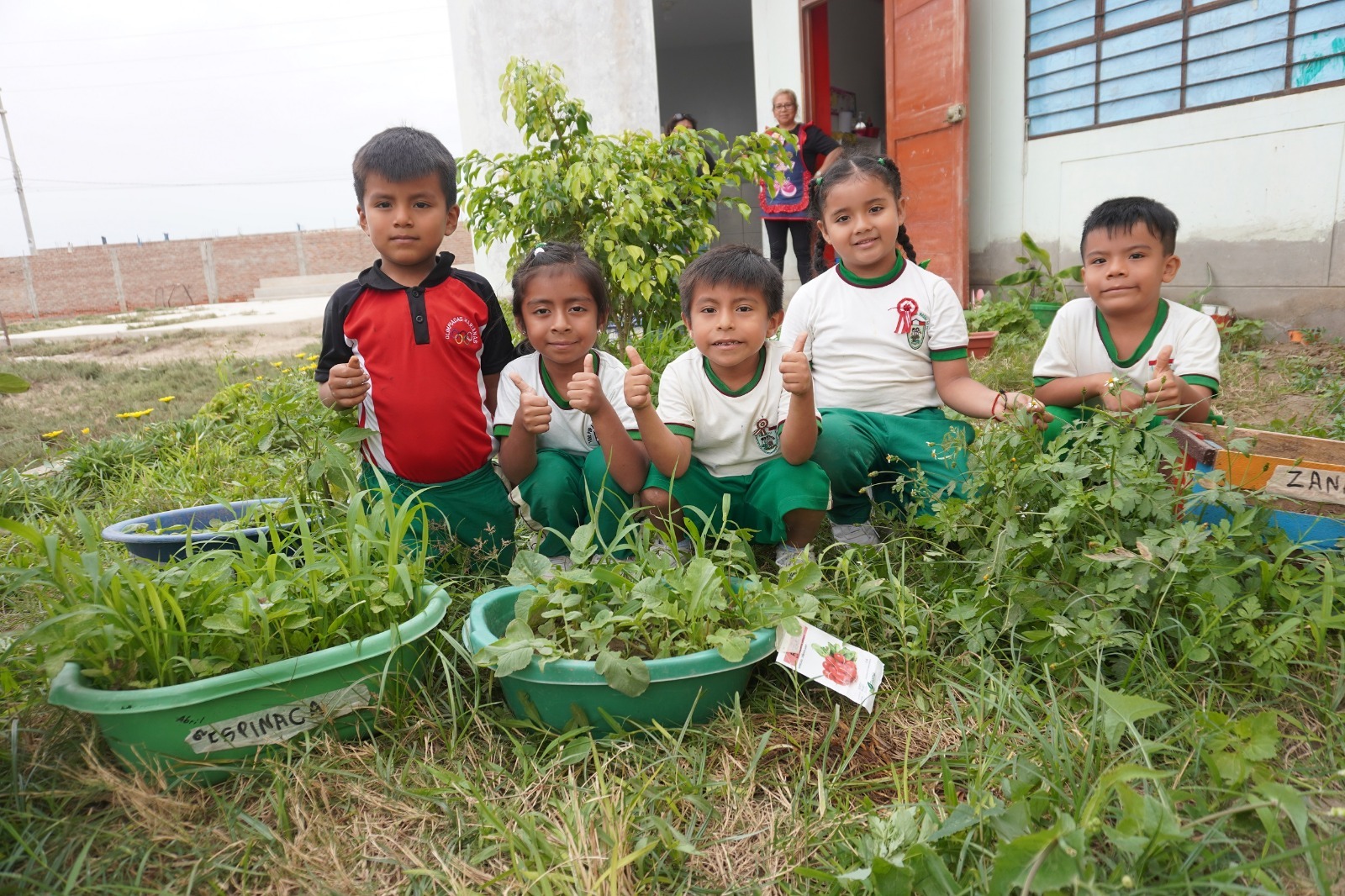 Servicio alimentario escolar