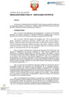 Vista preliminar de documento RD Nº D000100-2023-DE