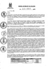 Vista preliminar de documento RA 432-2023