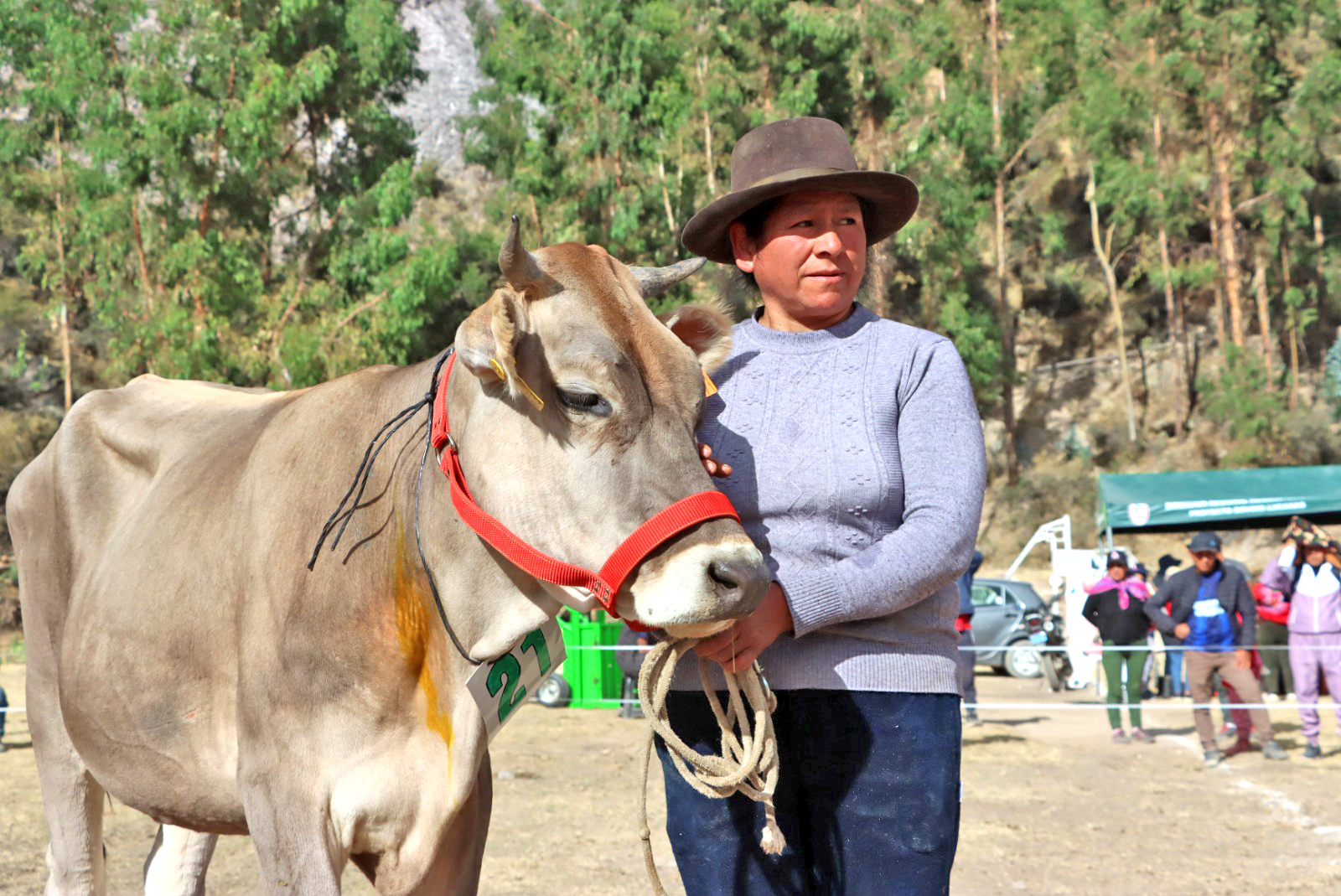 Lucanas registra 7 crías nacidas por transferencia de embriones y 920 por inseminación artificial