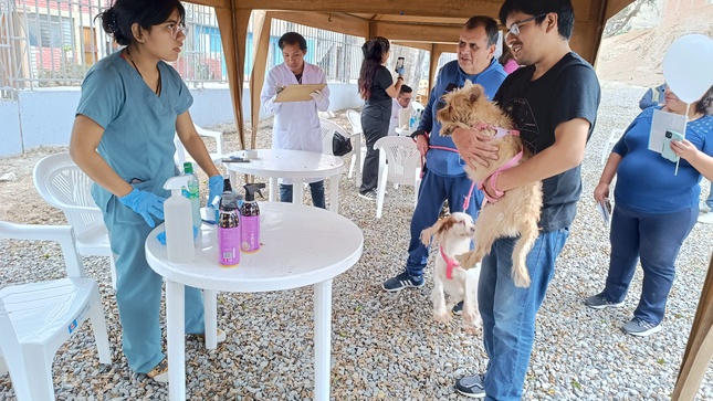 Los engreídos de la casa llegaron desde temprano 