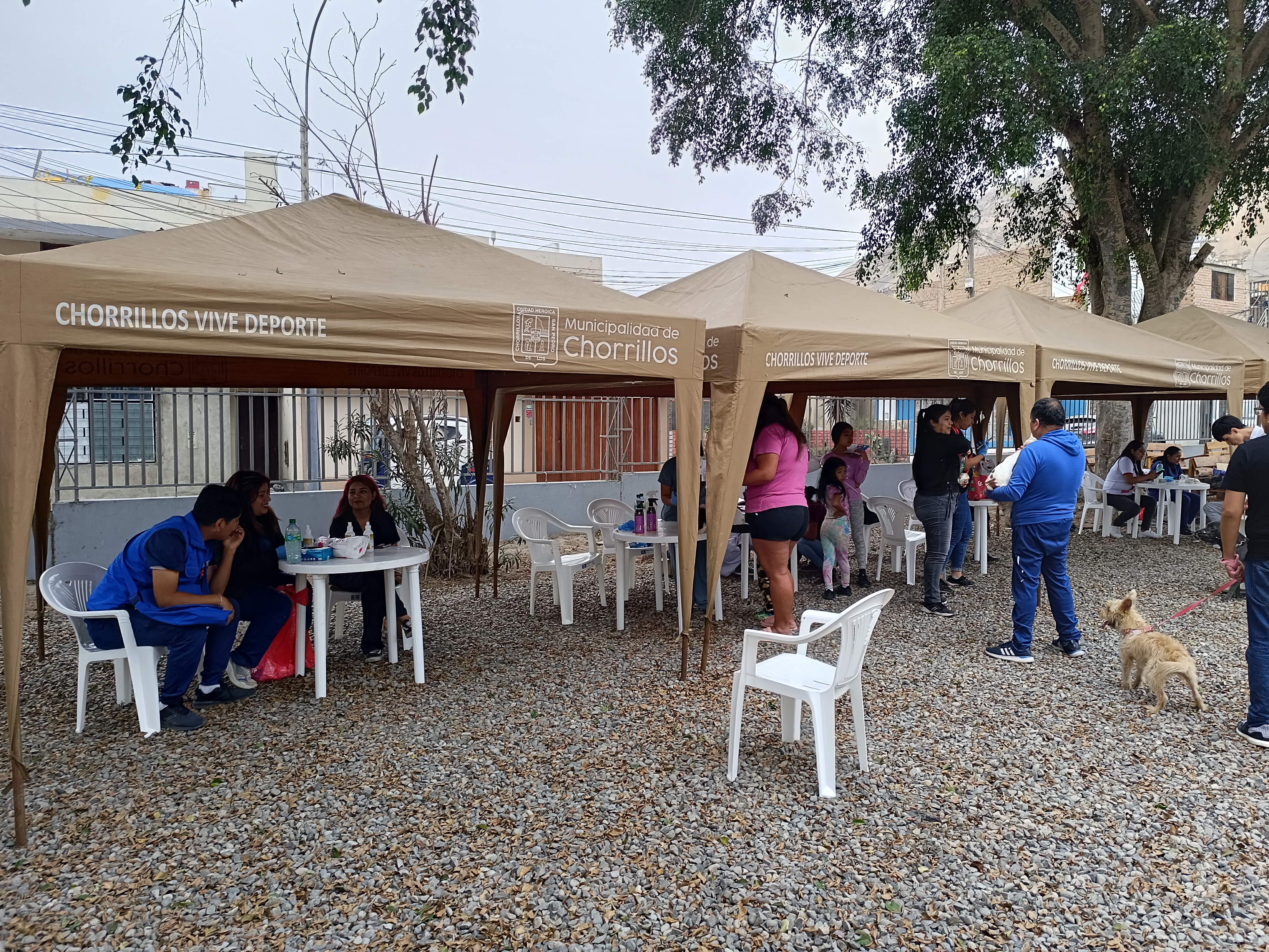 Asistencia masiva de vecinos en la Huaca la Lechuza